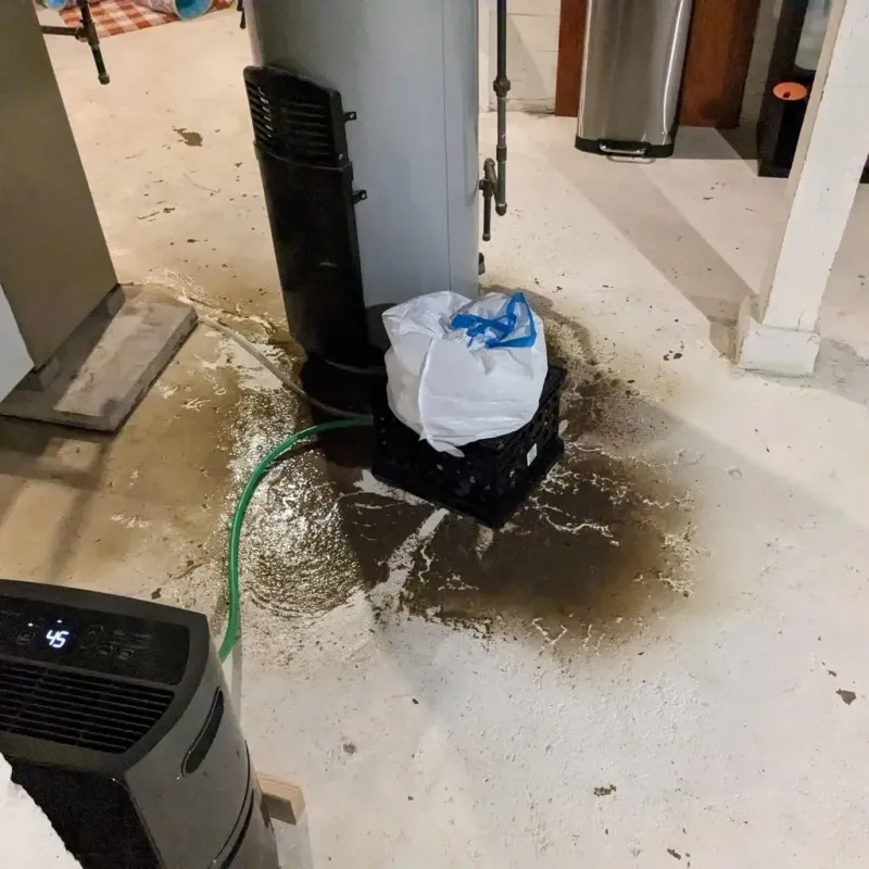 Sewage Backup Cleanup Service in Sutherlin, OR